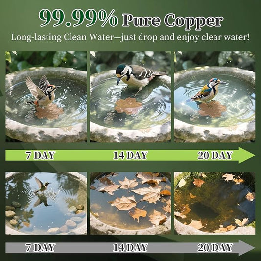 99.99% Pure Copper Bird Bath Disk, Triple-Point Support Design Lower Cleaning - Image 2
