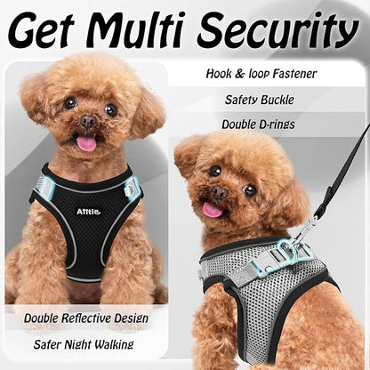 AIITLE Comfortable Dog Harness and Leash Set - Image 7