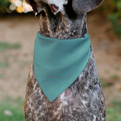 Star Wars Pet Bandana Star Wars Madalorian and Grogu Where He Goes I Go Pose - Image 5