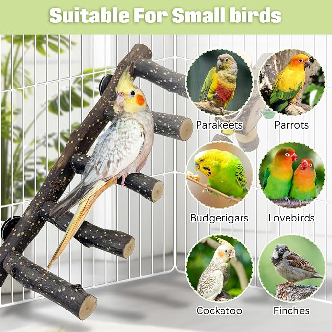 BNOSDM Natural Wood Bird Ladder Perch - Image 7