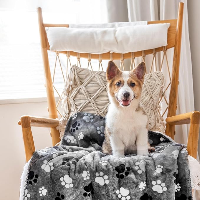 Waterproof Pet Blanket Dog Blankets, Pattern Printing Super Soft Warm Fluffy by AIWEKHOME