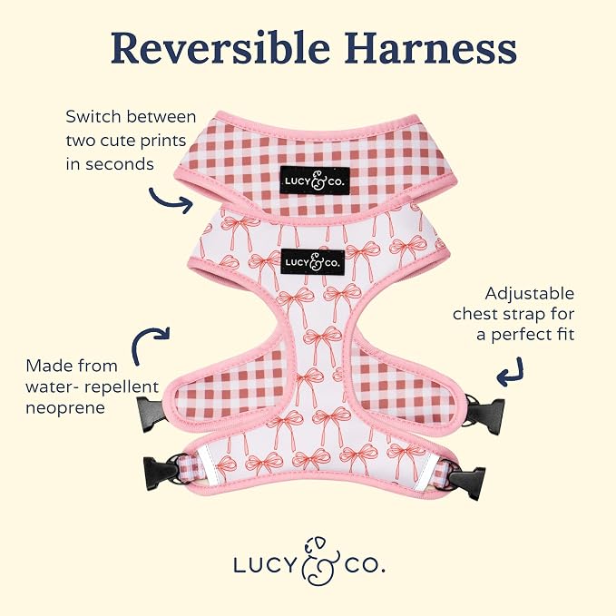 Lucy & Co. Cute Reversible Dog Harness Walking Halter - Image 2