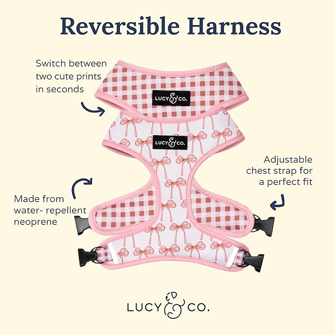 Lucy & Co. Cute Reversible Dog Harness Walking Halter - Image 2