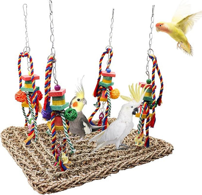 Large Bird Swing Toys, Colorful Parrot Seagrass Mat Hammock by Oooct
