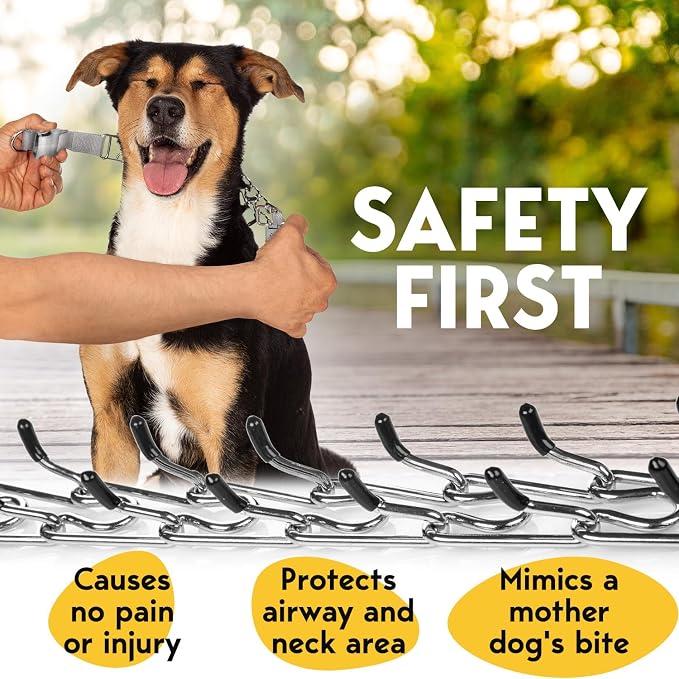 PetJett Prong Collar for Dogs - Image 3
