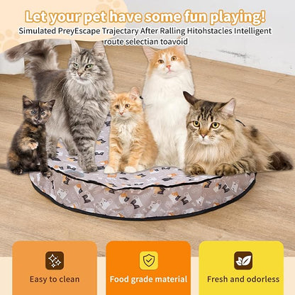 Interactive Cat Toys for Indoor Cats – Moving Ball Cat Play Mat, Interactive - Image 6
