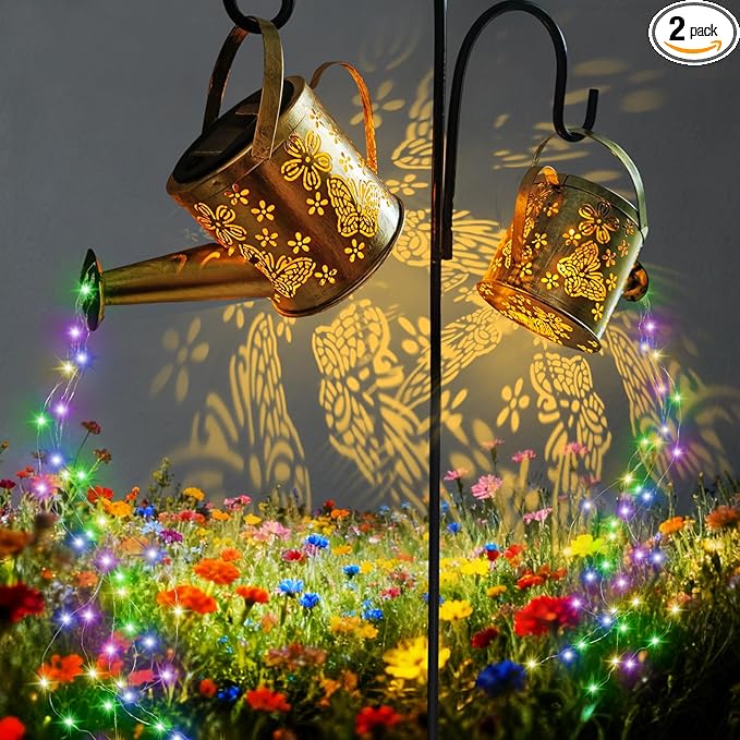 DDQ Solar Watering Can Lights, Warm White/Color LED by Unknown