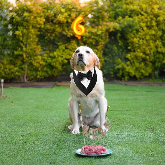 ADOGGYGO Formal Dog Tuxedo Bandana - Image 4