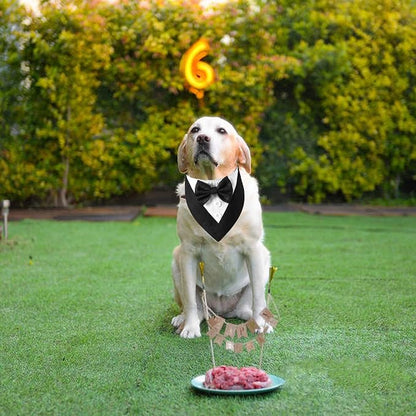 ADOGGYGO Formal Dog Tuxedo Bandana - Image 4