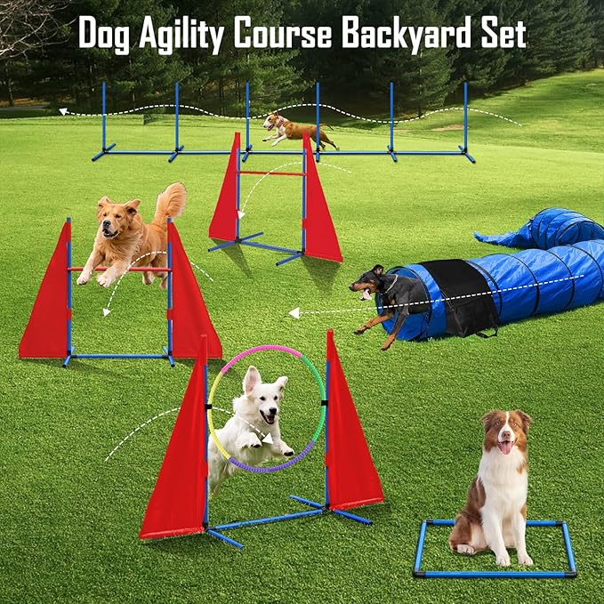 Dog Agility Course Backyard Set, Dog Agility Equipment, Portable Agility - Image 6