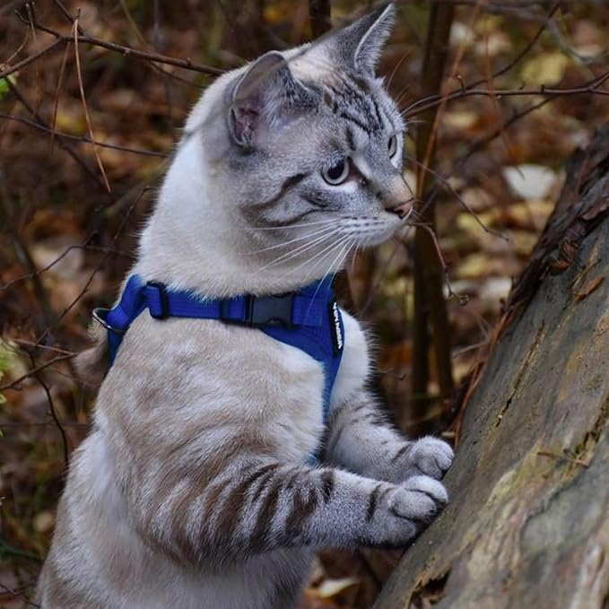 Voyager Step-in Lock Adjustable Cat Harness w. Cat Leash Combo Set - Image 2