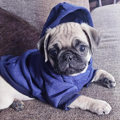 Jecikelon Winter Dog Hoodie Sweatshirts - Image 2