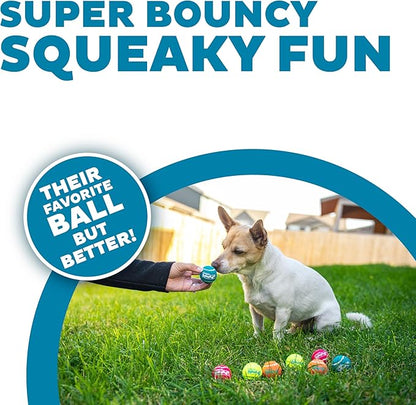 Outward Hound Squeaker Ballz – Squeaky Tennis Balls - Image 3