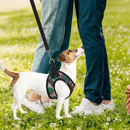 PUPTECK Adjustable Dog Harness Collar and Leash Set Step in No Pull Pet Harness - Image 7