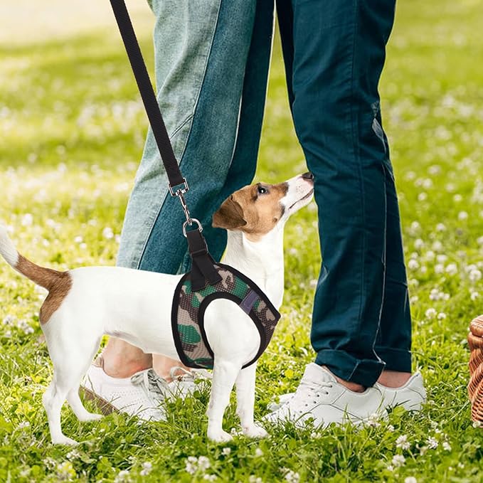 PUPTECK Adjustable Dog Harness Collar and Leash Set Step in No Pull Pet Harness - Image 7