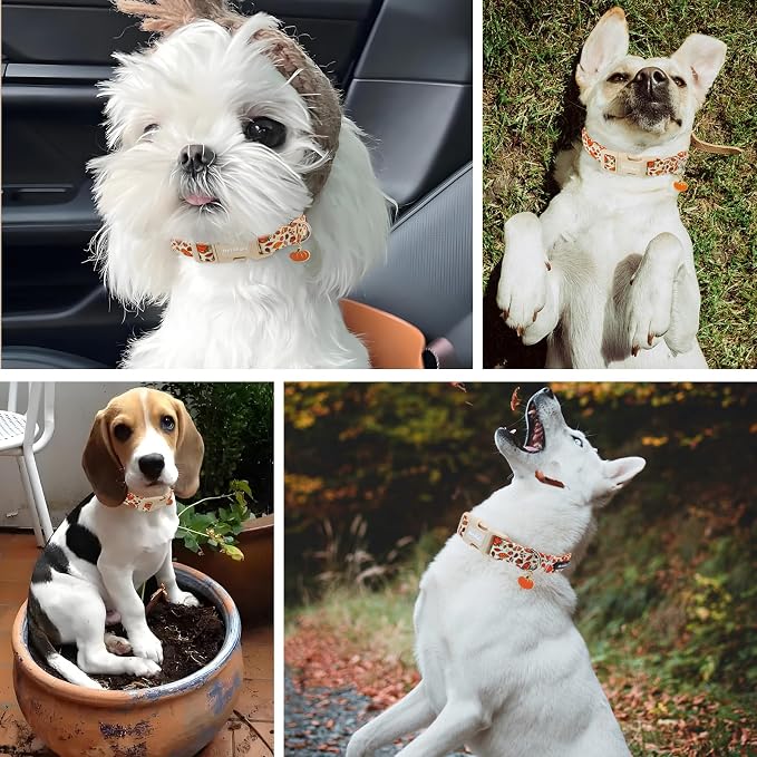 Fall Dog Collar – Halloween & Thanksgiving Dog Collars - Image 6