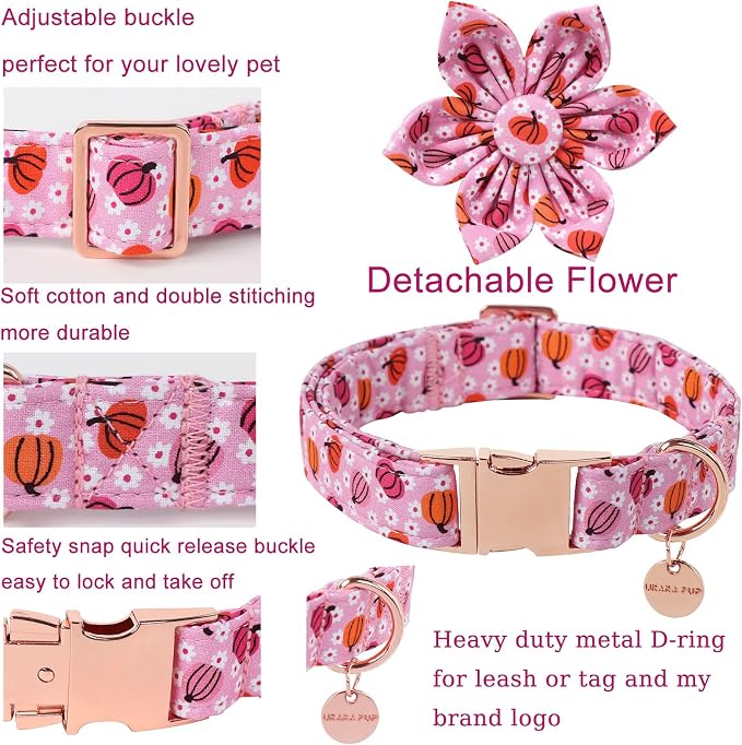 Halloween Pumpkin Dog Collar - Image 3