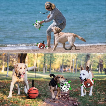 QDAN Dog Soccer Ball Football Basketball Set - Image 3