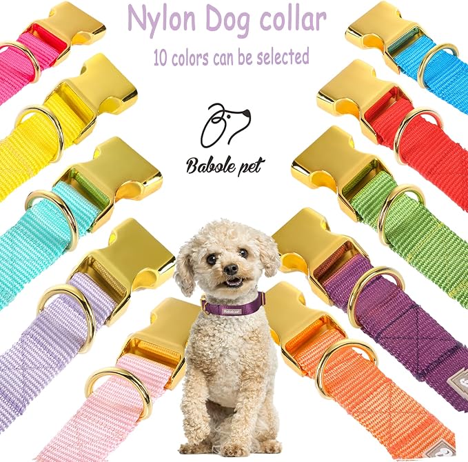 Nylon Dog Collar - Image 6