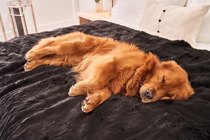 PupProtector Waterproof Throw Blanket - Image 2