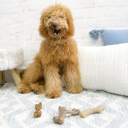 Nylabone Gourmet Style Strong Chew Toy Bundle, Toys - Image 2