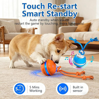 Interactive Dog Ball Toy, Interactive Dog Toys - Image 3