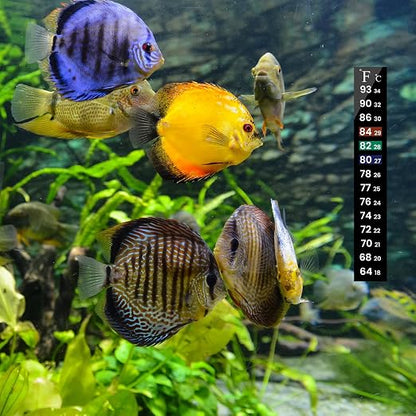 AQUANEAT 6 PCS Aquarium Thermometer Strips, Fish Tank Thermometer Sticker - Image 5