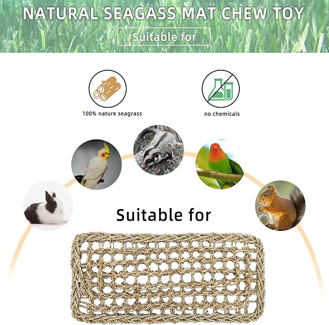 Bird Seagrass Mat 16 × 7" Parrot Natural Grass Woven Net Hammock Parakeet - Image 7