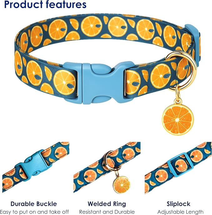 Cute Dog Collar Fruit Orange Pattern - Image 3