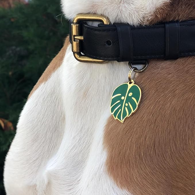 Two Tails Pet Company Personalized 'Monstera Leaf' Pet ID Tag & Collar Charm - Image 6