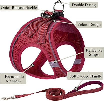 Dog Harness with Leash Set, No Pull Adjustable Reflective Step-in Puppy Pet - Image 2