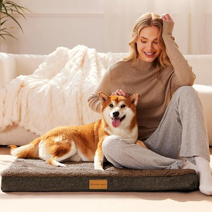 Patas Lague Orthopedic Jumbo Dog Bed - Image 2