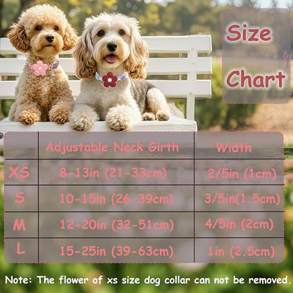 Medium Dog Collar with Flower, Dog Collars - Image 8