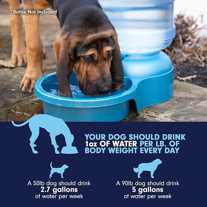 Petmate Big Blue Outdoor Water Bowl, 5 Gallons, Made in USA - Image 5