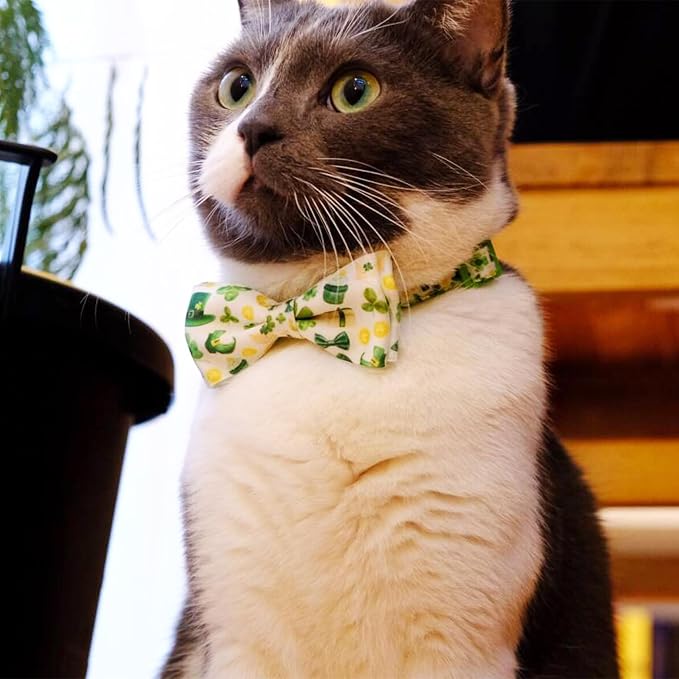 2 Pack St. Patrick's Day Irish Cat Collar - Image 7