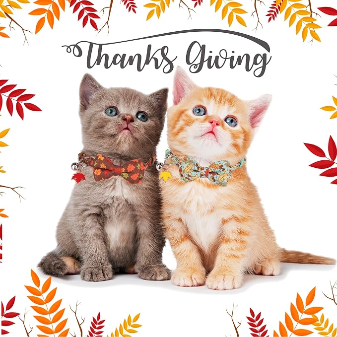 ADOGGYGO 2 Pack Fall Cat Collar - Image 3
