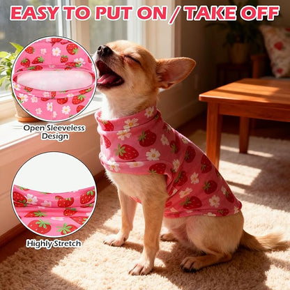 EXPAWLORER Soft Cat Sweater - Image 3