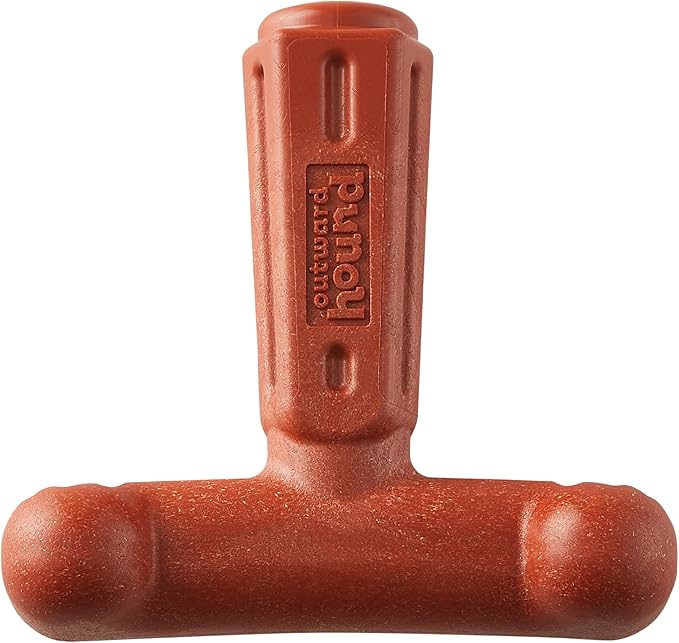 Outward Hound Dogwood Hold & Chew Durable Dog Chew Toy, Beef Scent by BestFriendsbySheri