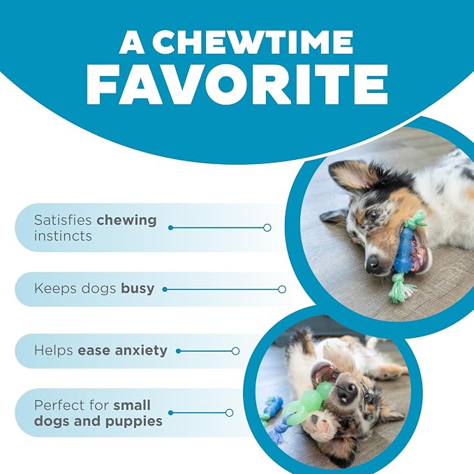 Outward Hound Pupstages Mini Dentachew Pack Dental Chew Toy, Fetch & Tug Rope - Image 6