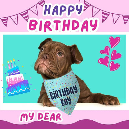 Birthday Boy Dog Bandanas 1 Pack, HBD Pet Scarves - Image 3