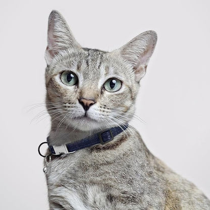 Leather Cat Collar with Buckle and Removable Bell - Image 6