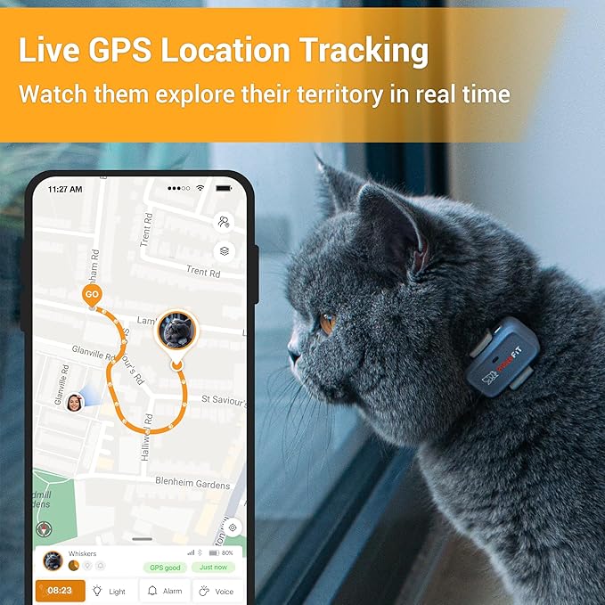 Pawfit Lite for Cats 4g GPS Tracker | Ultra-Small Design | Real-Time Tracking | - Image 2