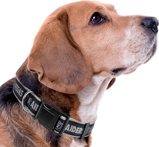 Pets First NFL Raiders Licensed PET COLLAR, Medium - Image 4