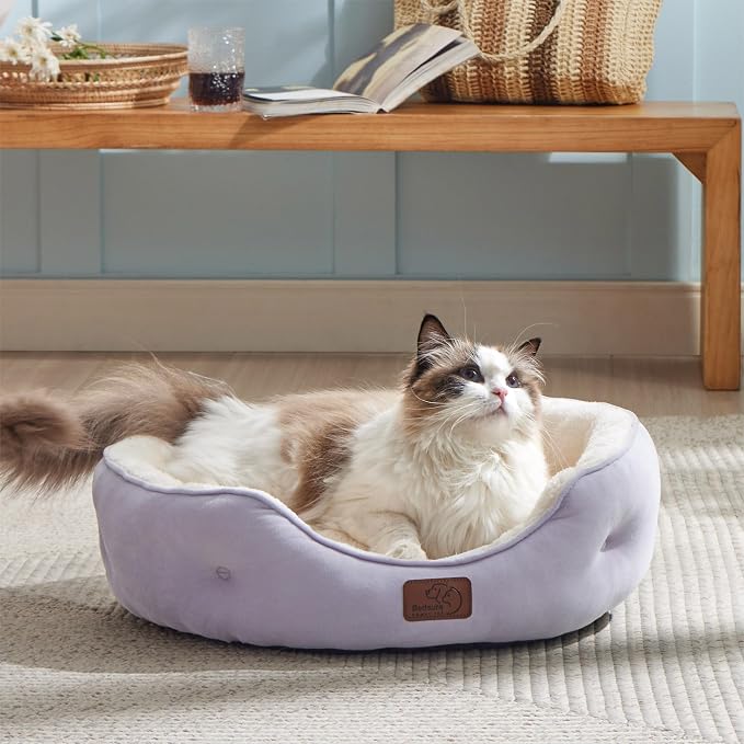 Bedsure Dog Beds for Small Dogs - Image 6