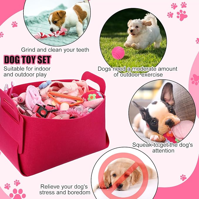 Abbylike 50 Pcs Puppy Supplies Starter Kit - Image 6