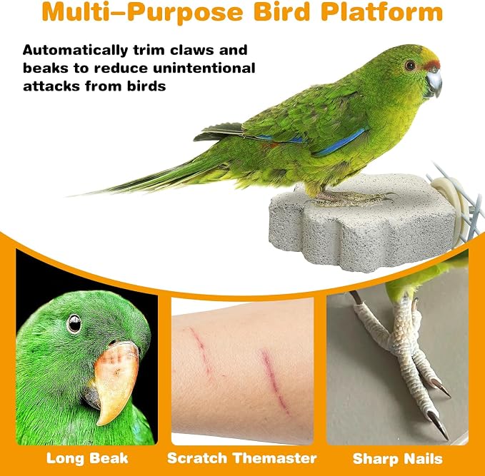 PINVNBY 4 PCS Bird Perches Calcium Parrot Perch Stand Bird Beak Grinding Stone - Image 5