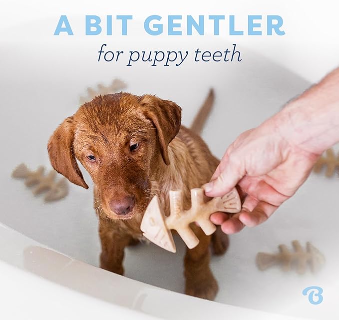 Benebone Puppy Fishbone Dog Chew Toys, Softer - Image 2