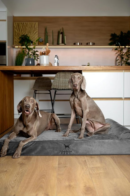 NOAH & PAW Giant Dog Bed XXL 55x45x9.5 Inch, Orthopedic Dog Beds, Eggshell - Image 2