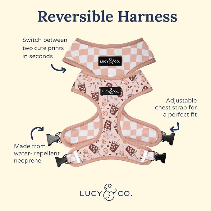 Lucy & Co. Cute Reversible Dog Harness Walking Halter - Image 2