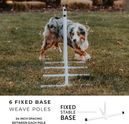 Better Sporting Dogs Complete Starter Agility Set - Image 5
